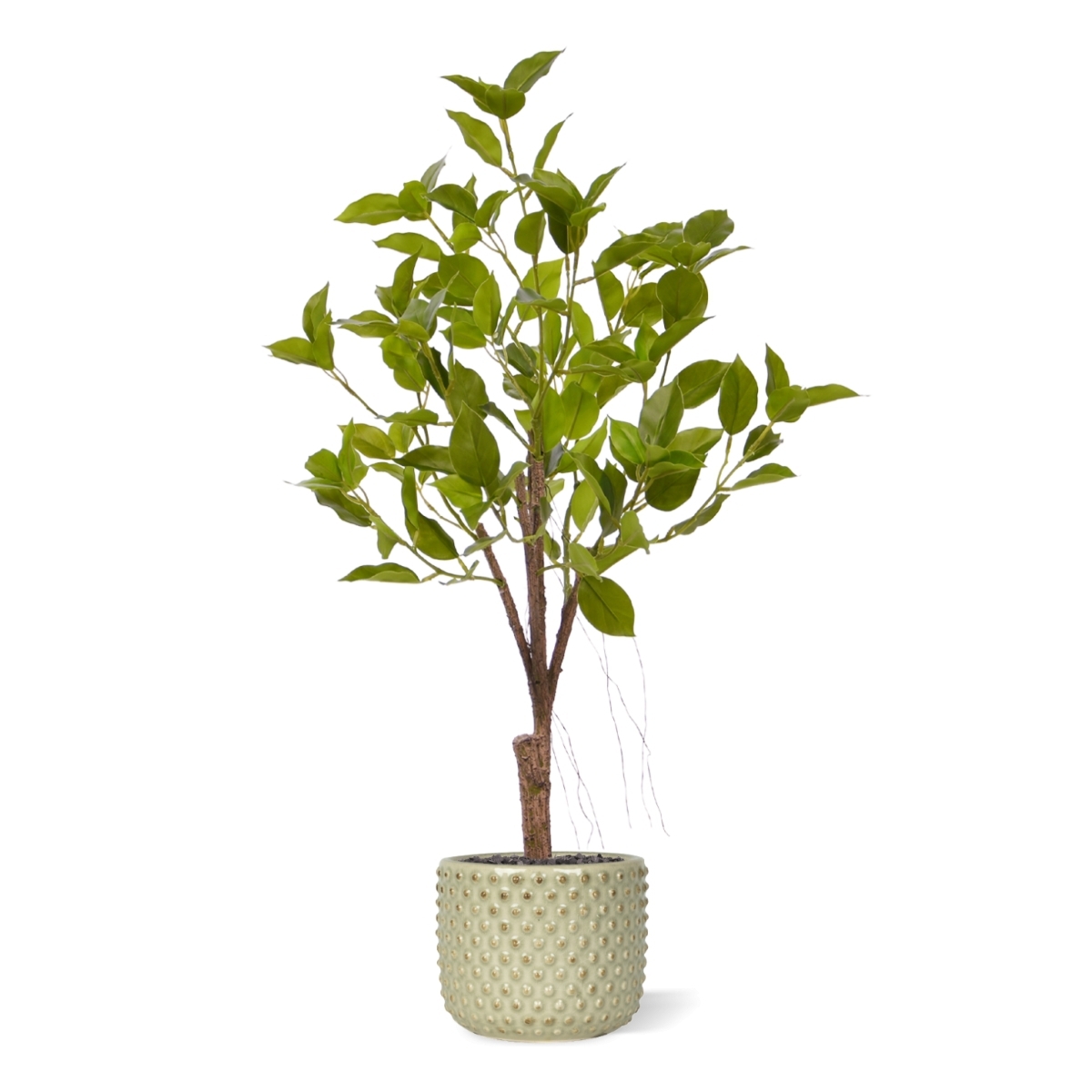 Ficus Natacha artificiale bonsai 60cm verde
