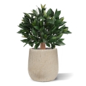 Artificiale Alloro Sfera 45cm UV in vaso