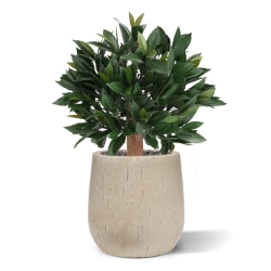 Artificiale Alloro Sfera 45cm UV in vaso