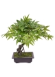 Bonsai di Acer Artificiale 50cm Verde