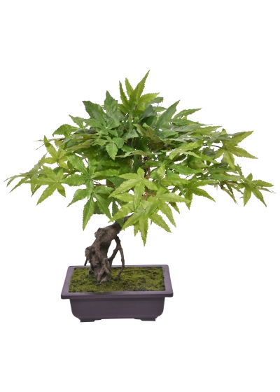 Bonsai di Acer Artificiale 50cm Verde