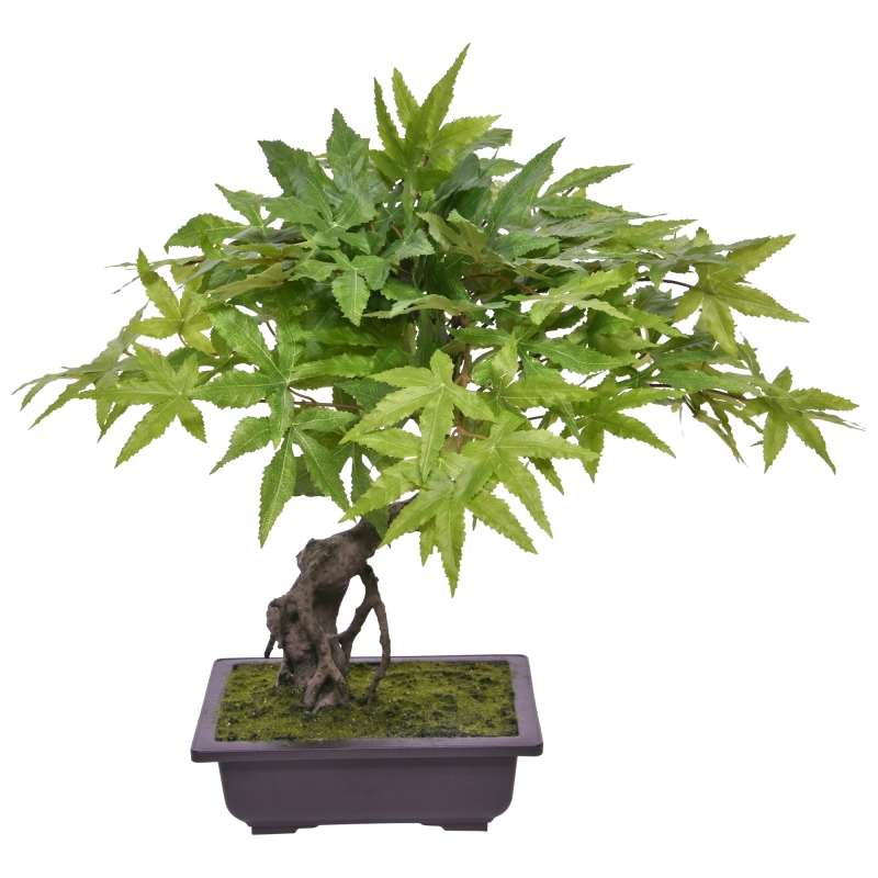 Bonsai di Acer Artificiale 50cm Verde