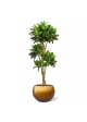 Albero artificiale Croton bonsai deluxe 175cm
