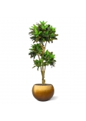 Albero artificiale Croton bonsai deluxe 175cm