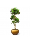 Albero artificiale Croton bonsai deluxe 175cm