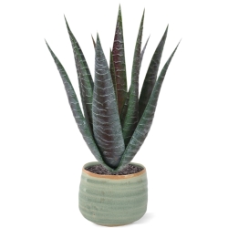 Pianta artificiale di aloe 30 cm