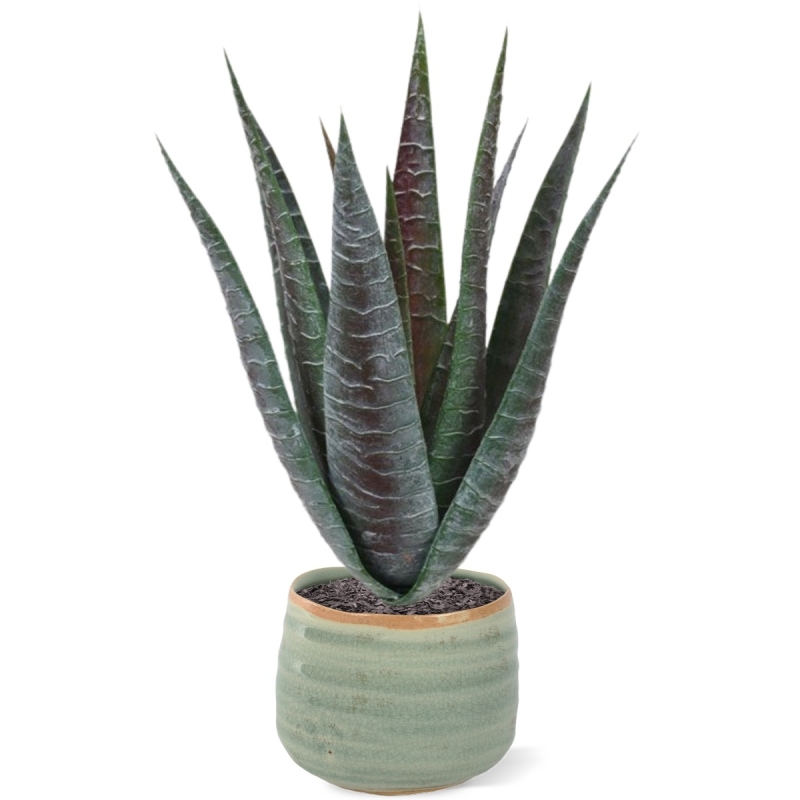 Pianta artificiale di aloe 30 cm