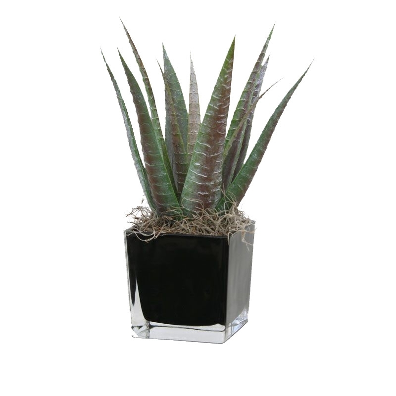 Pianta artificiale di aloe 30 cm