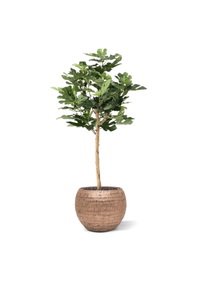 Albero di Fico su Tronco Artificiale 110cm