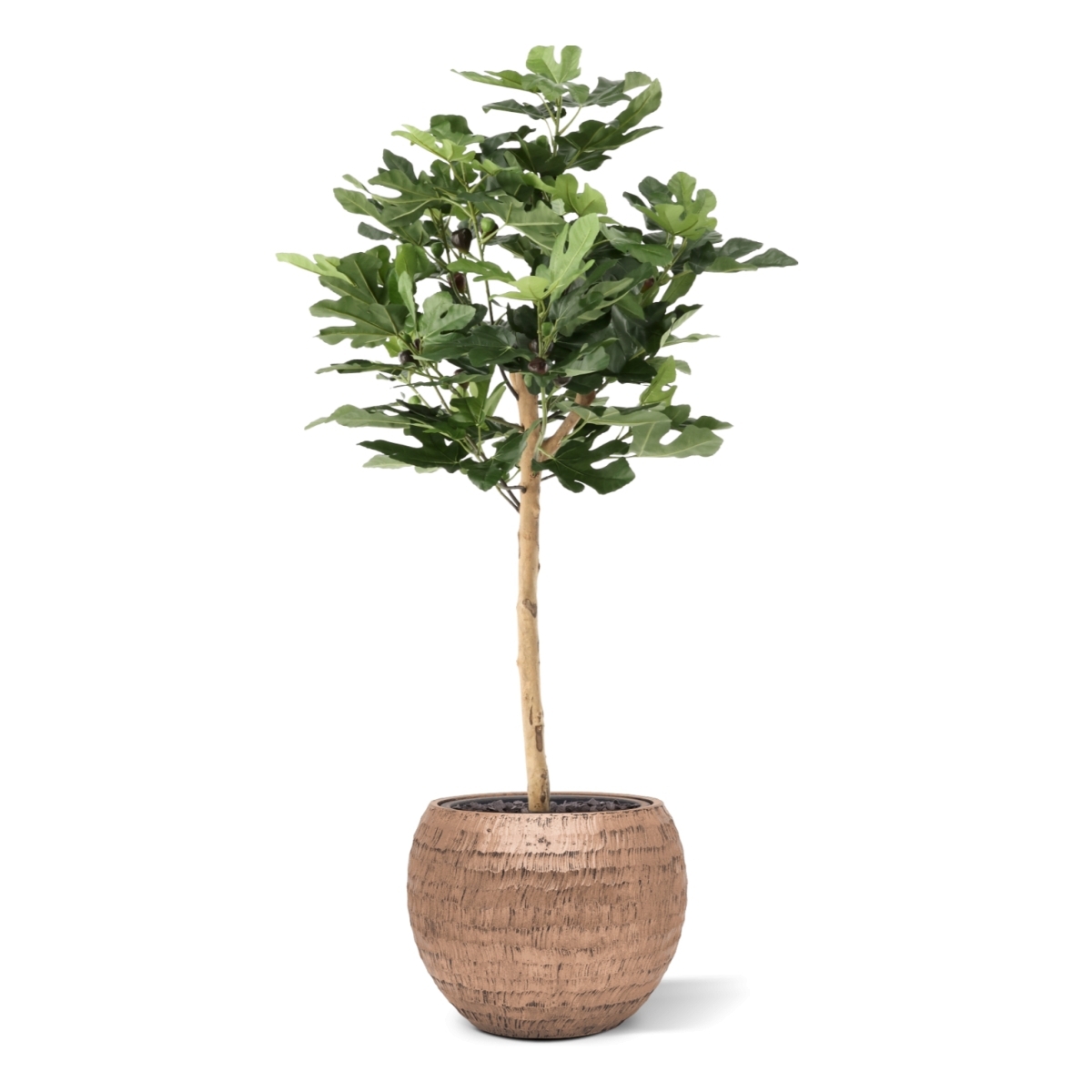 Albero di Fico su Tronco Artificiale 110cm