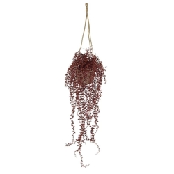 Callisia pianta artificiale sospesa 70 cm UV Borgogna