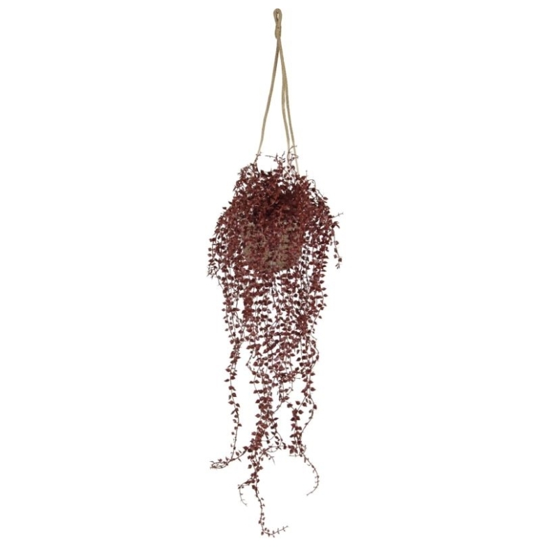 Callisia pianta artificiale sospesa 70 cm UV Borgogna