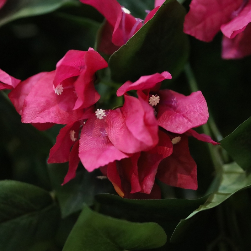 Bougainvillea artificiale da appendere 60 cm viola