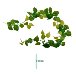 Filodendro Micans RT ghirlanda artificiale 180 cm