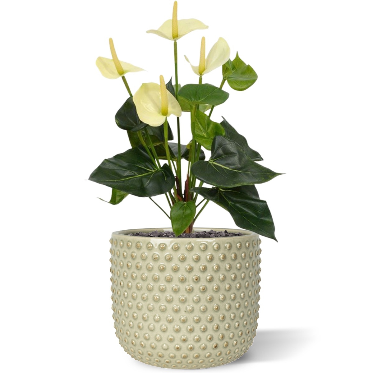 Pianta artificiale di Anthurium 40 cm - crema