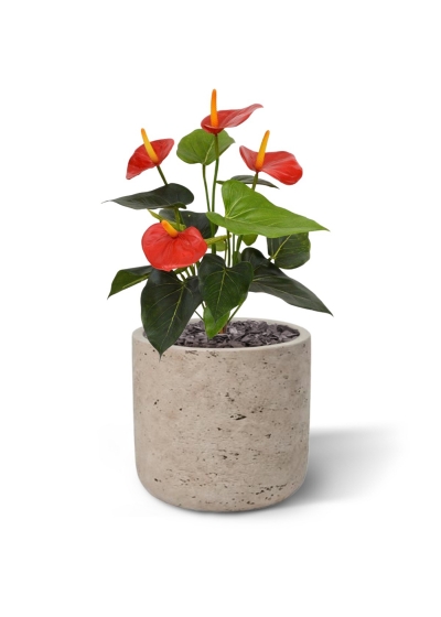 Pianta artificiale di Anthurium 40 cm - rosso