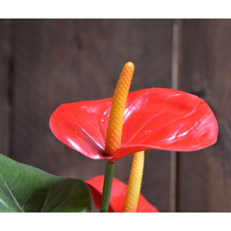 Pianta artificiale di Anthurium 40 cm - rosso