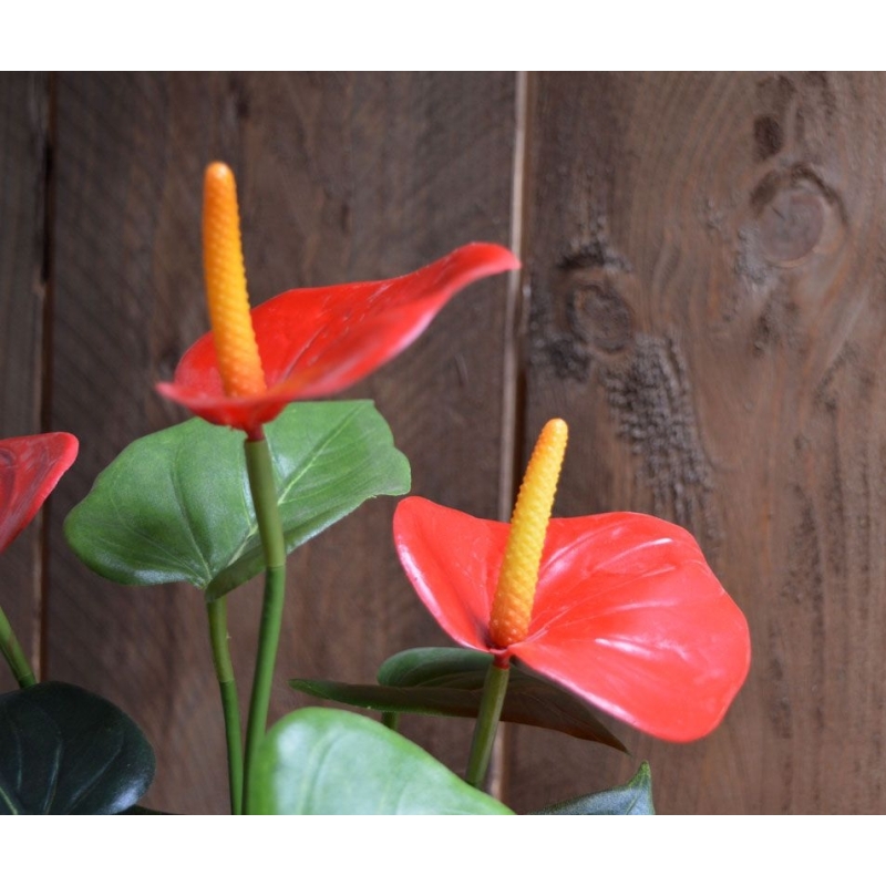 Pianta artificiale di Anthurium 40 cm - rosso