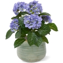 Bouquet artificiale di ortensie 40 cm blu