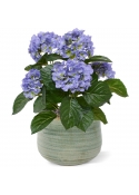 Bouquet artificiale di ortensie 40 cm blu