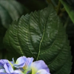 Bouquet artificiale di ortensie 40 cm blu