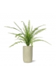 Asplenium Fern pianta artificiale 75 cm in vaso da 12 cm