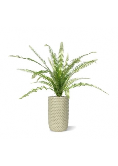 Asplenium Fern pianta artificiale 75 cm in vaso da 12 cm