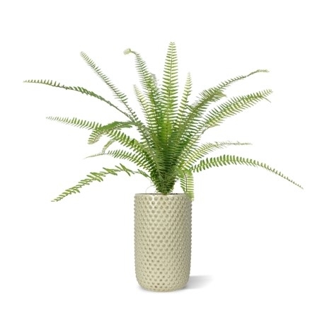 Asplenium Fern pianta artificiale 75 cm in vaso da 12 cm