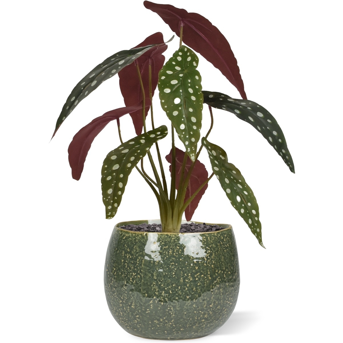 Begonia Maculata pianta artificiale 35 cm