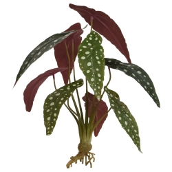 Begonia Maculata pianta artificiale 35 cm