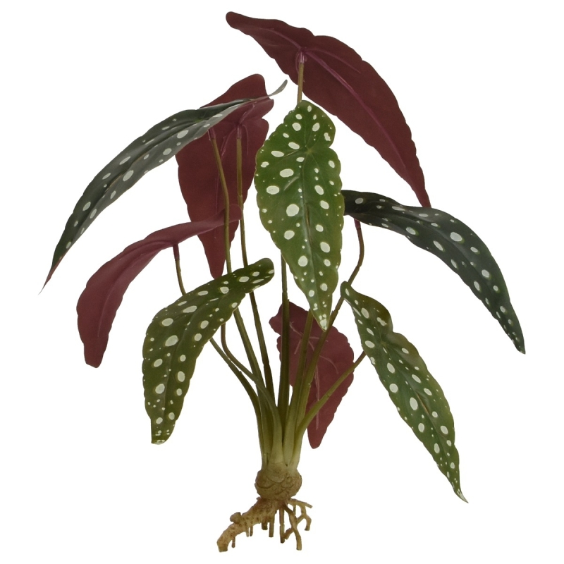 Begonia Maculata pianta artificiale 35 cm