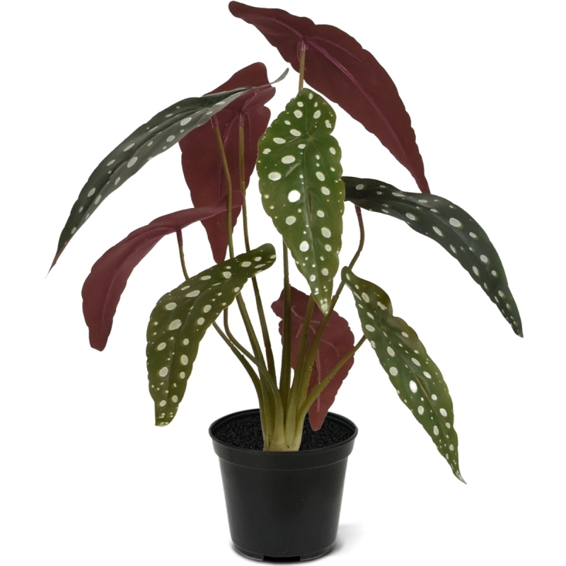 Begonia Maculata pianta artificiale 35 cm