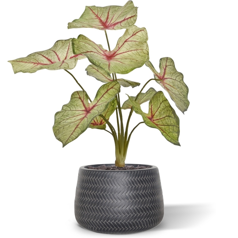 Bouquet artificiale di Caladium white queen 40cm