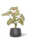 Bouquet artificiale di Caladium white queen 40cm