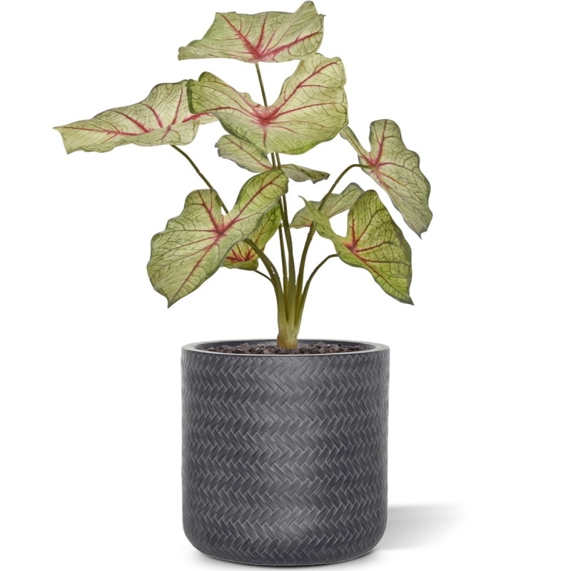 Bouquet artificiale di Caladium white queen 40cm