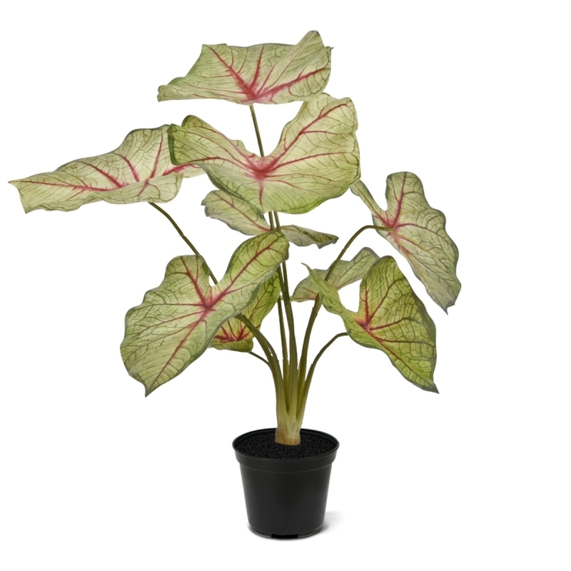 Bouquet artificiale di Caladium white queen 40cm
