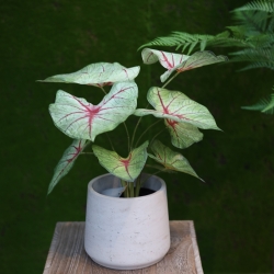Bouquet artificiale di Caladium white queen 40cm