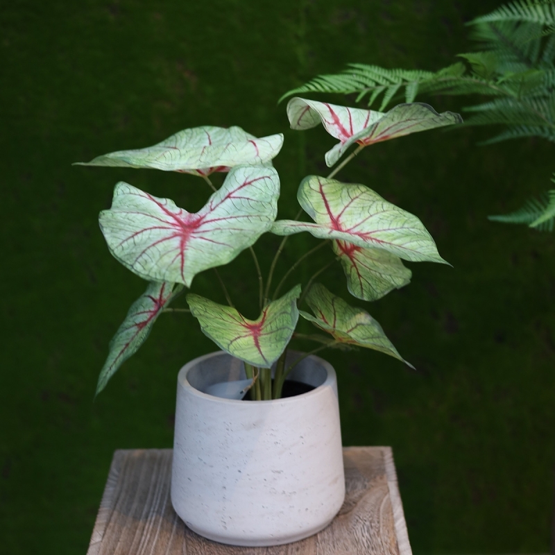 Bouquet artificiale di Caladium white queen 40cm