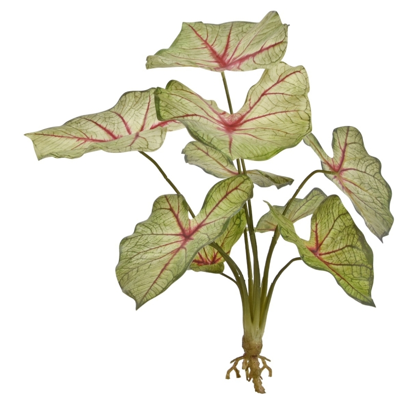 Bouquet artificiale di Caladium white queen 40cm