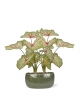 Pianta artificiale Caladium white queen 45cm