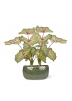 Pianta artificiale Caladium white queen 45cm