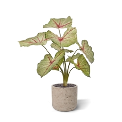 Pianta artificiale Caladium white queen 45cm