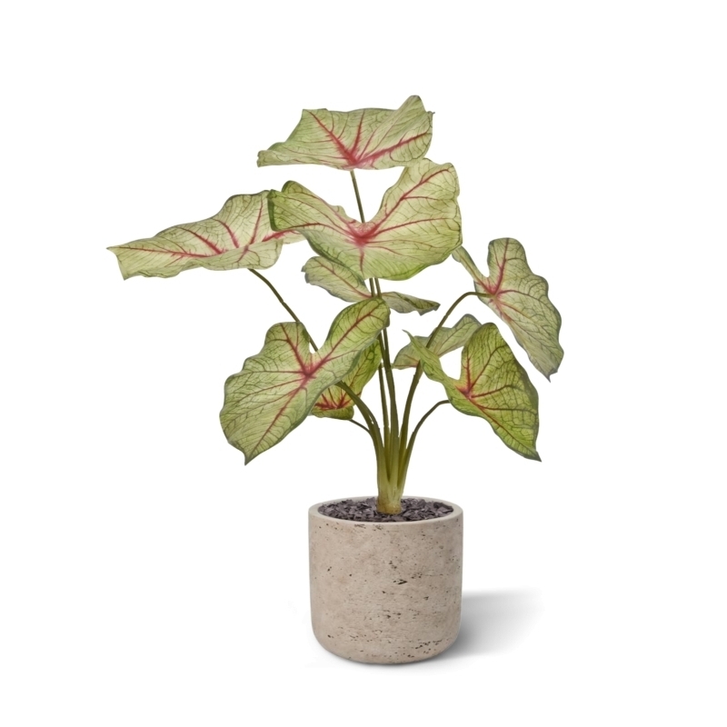 Pianta artificiale Caladium white queen 45cm