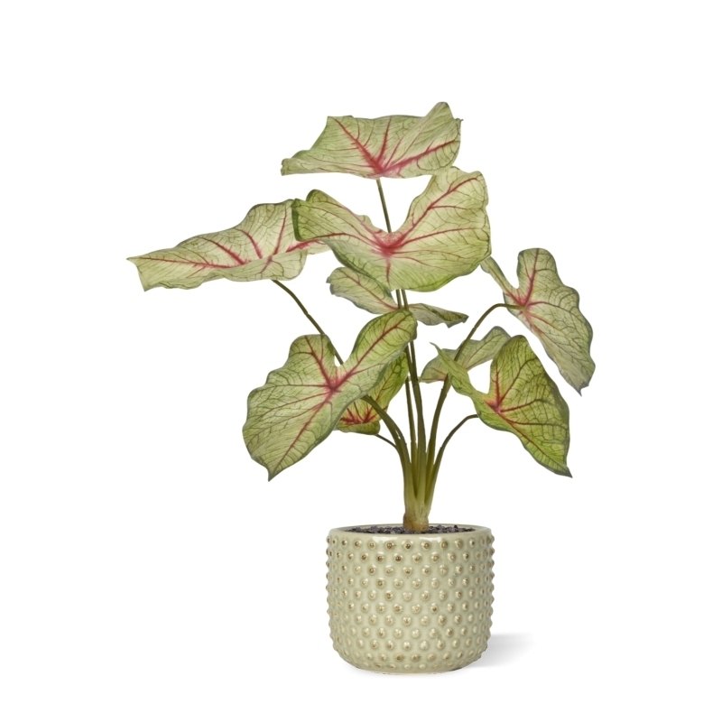 Pianta artificiale Caladium white queen 45cm