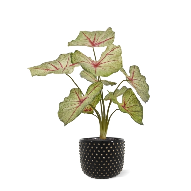 Pianta artificiale Caladium white queen 45cm