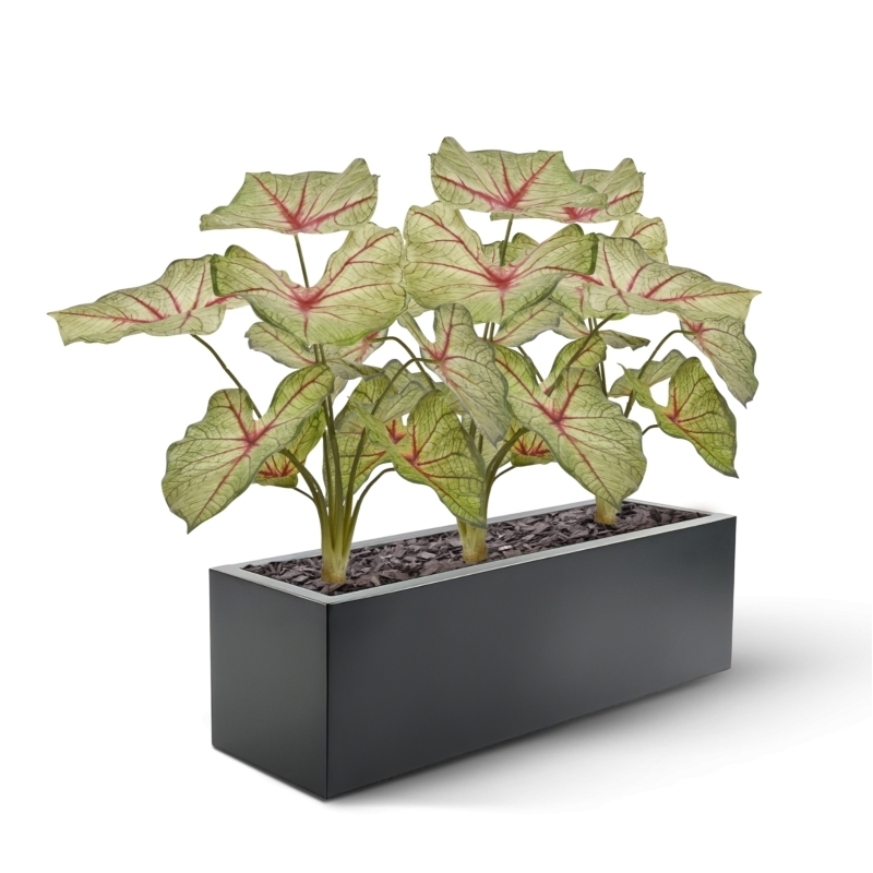 Pianta artificiale Caladium white queen 45cm