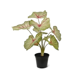 Pianta artificiale Caladium white queen 45cm