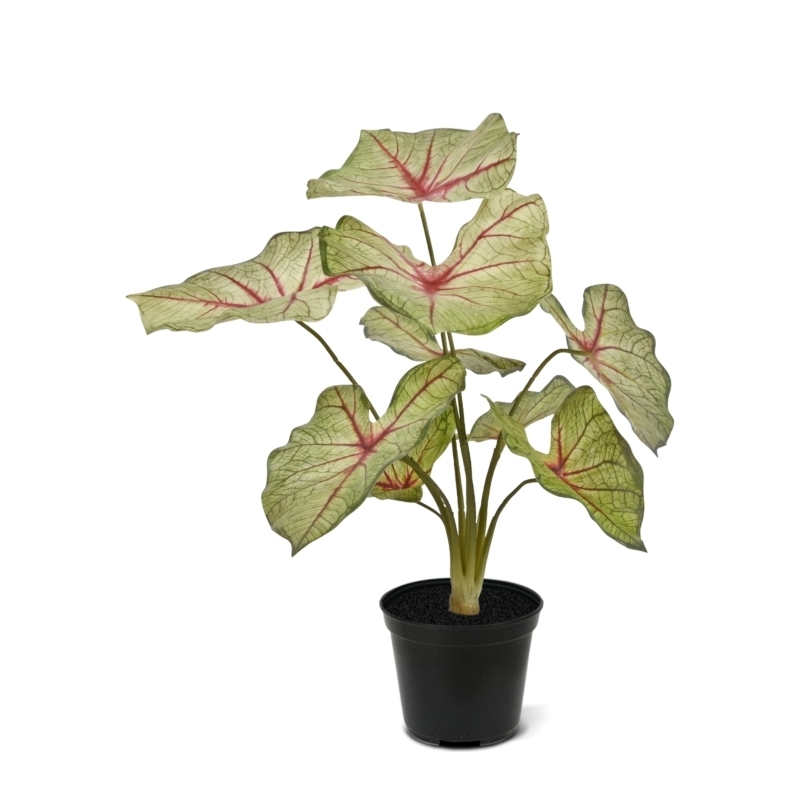 Pianta artificiale Caladium white queen 45cm