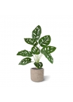 Monstera Adonsonii pianta artificiale 40 cm in vaso
