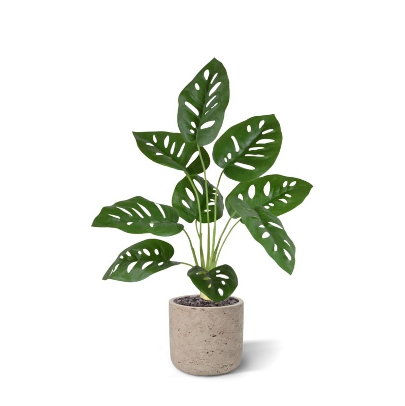 Monstera Adonsonii pianta artificiale 40 cm in vaso